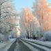 Ленинградская ул. в городе Каргополь