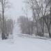 ул. Шукшина в городе Новоалтайск