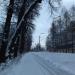 ул. Чапаева в городе Павловский Посад