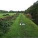 Lancaster Canal Towpath