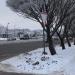 Чудская ул. в городе Псков