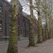 Boulevard Alfred de Fontaine dans la ville de Charleroi