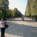 Linden Allee (ru) in Vienna city
