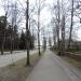 Supeluse in Pärnu city