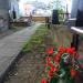 Aleja przy kwaterze 178a (pl) in Warsaw city