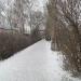 Парковый пер. в городе Алейск