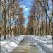 Большая (1-я) Липовая аллея в городе Москва