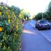 Polsloe Road in Exeter city