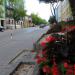 ulica Tadeusza Kościuszki in Kielce city