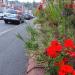 Abbots Road in Exeter city