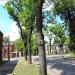 ul. Kościelna in Żyrardów city