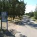 Наглё аллея в городе Паланга