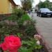 ul. Adama Próchnika (pl) in Piotrkow Trybunalski city