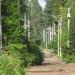 Брацлавский просп. в городе Вырица