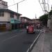 Santol in Manila city