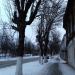 Толстовская ул. в городе Ногинск