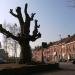 Ninovestraat in Ronse city