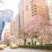 Park Avenue in New York City, New York city