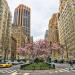Park Avenue in New York City, New York city