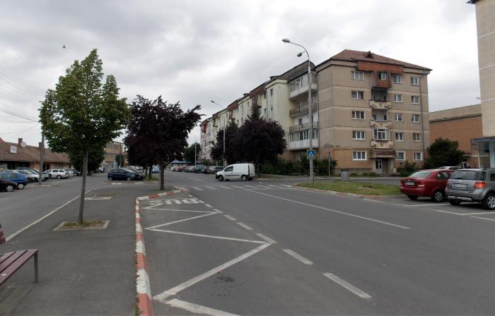 Strada Poet Vasile Carlova Sibiu