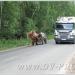 65К-3613110 г. Верхняя Пышма – пос. Садовый в городе Екатеринбург