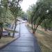 Нижняя видовая аллея (ru) in Kyiv city