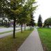 DK 51 - ul. Bohaterów Warszawy in Bartoszyce city