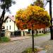 ul. Władysława Grabskiego in Sochaczew city