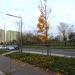 ul. Handlowa (pl) in Warsaw city