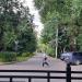 Школьная ул. в городе Домодедово