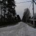 Шифлеровская ул. в городе Вырица