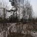 Андреевская ул. в городе Вырица
