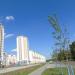 Рябиновая ул. в городе Гомель