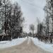Пушкiнська вул. в місті Дєдовськ