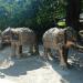 Elephant Valley (en) in Praha city