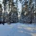 Сосновый пер. в городе Жуковский
