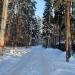 Сосновый пер. в городе Жуковский