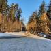 Шоссейная ул. в городе Жуковский