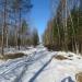 Белая дорога в городе Гатчина