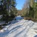 Белая дорога в городе Гатчина