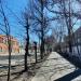 Интернациональная ул. в городе Павловский Посад