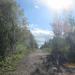Виноградная ул. в городе Череповец