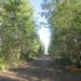 Виноградная ул. в городе Череповец