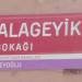 Alageyik Sk. in İstanbul Büyükşehir Belediyesi city