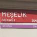 Meşelik Sk. in İstanbul Büyükşehir Belediyesi city