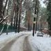 2-я Лесная ул. в городе Раменское