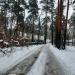 2-я Лесная ул. в городе Раменское