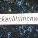 Glockenblumenweg in Stadt Köln