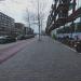 Pampuslaan in Amsterdam city