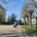 ул. Урицкого в городе Орехово-Зуево